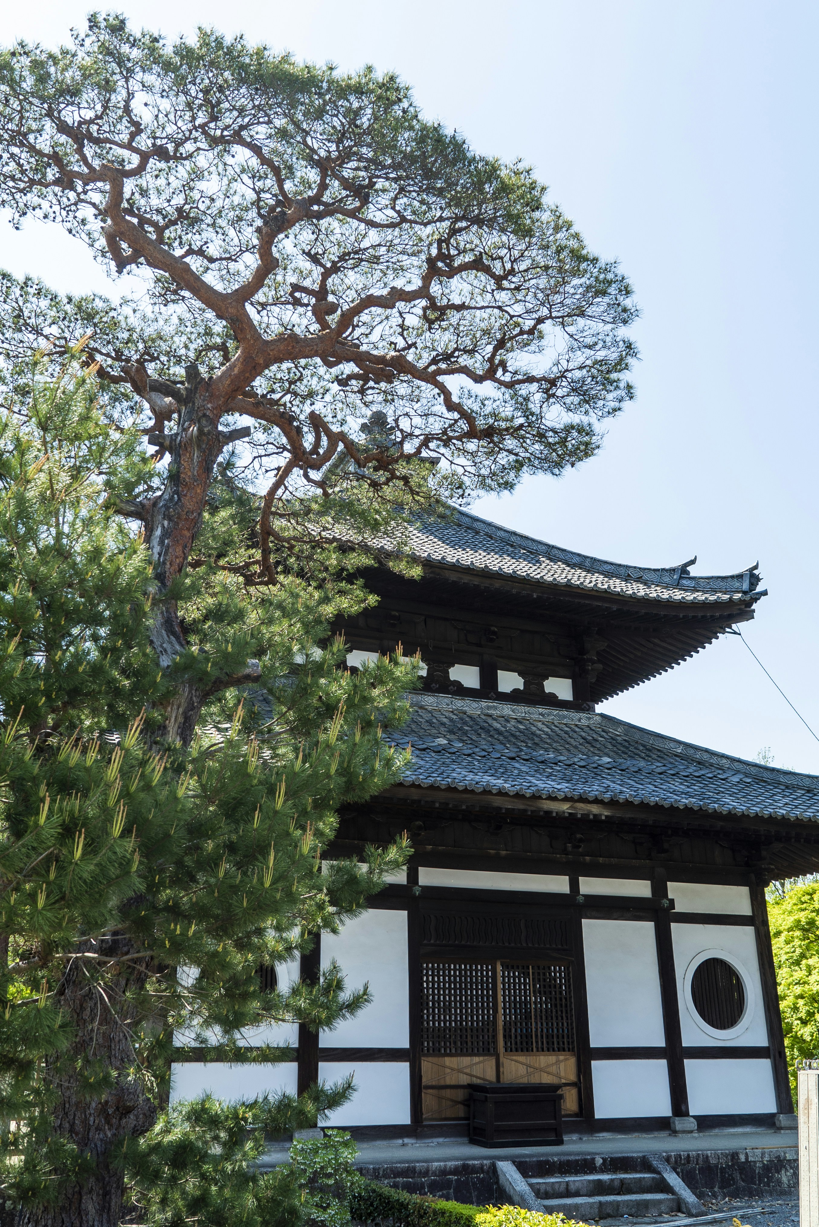 Photo by davidemrich