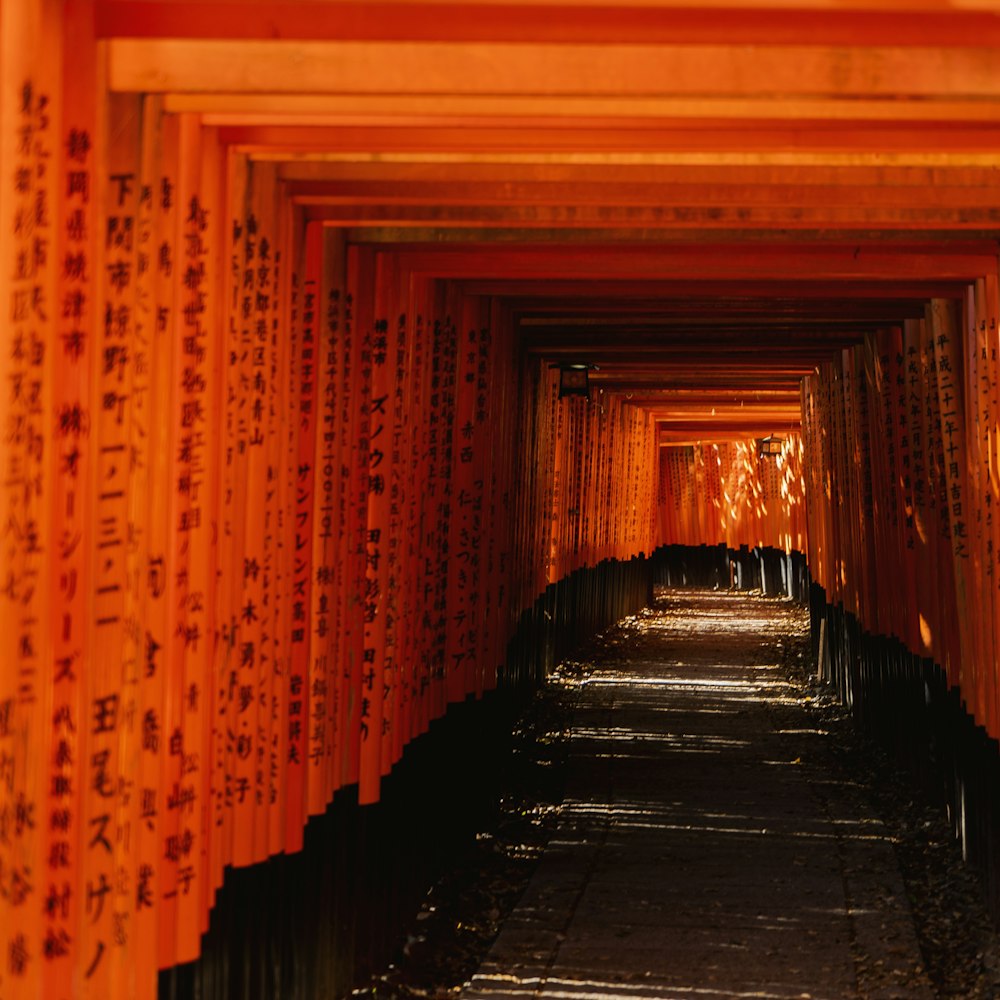 orange-schwarzer Tunnel mit Lichtern