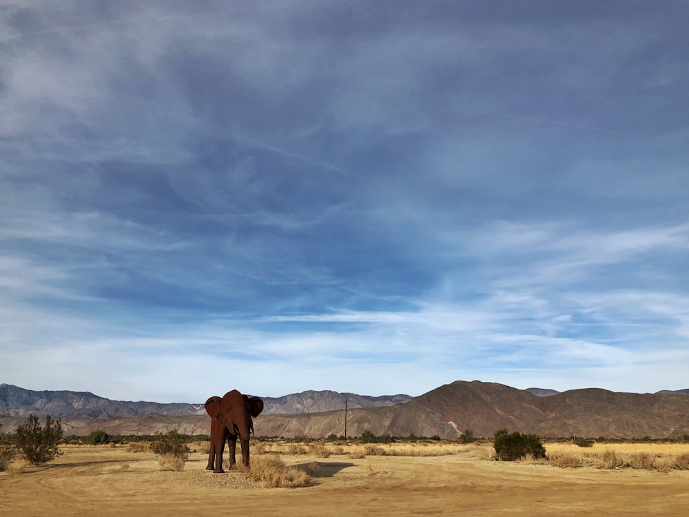 brown horse on brown field under blue sky during daytime