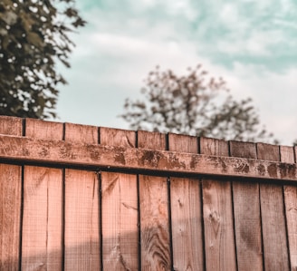 brown wooden fence near green trees during daytime