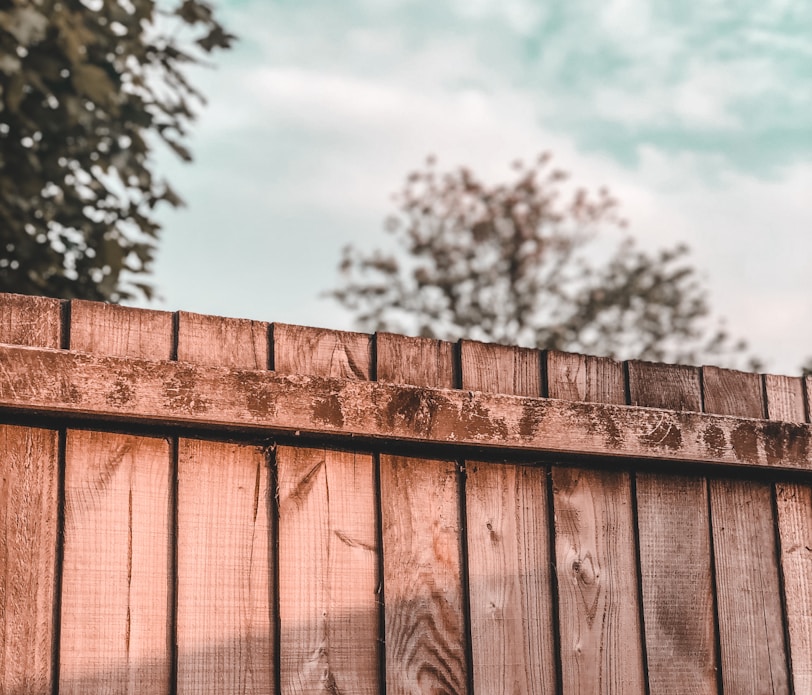 brown wooden fence near green trees during daytime