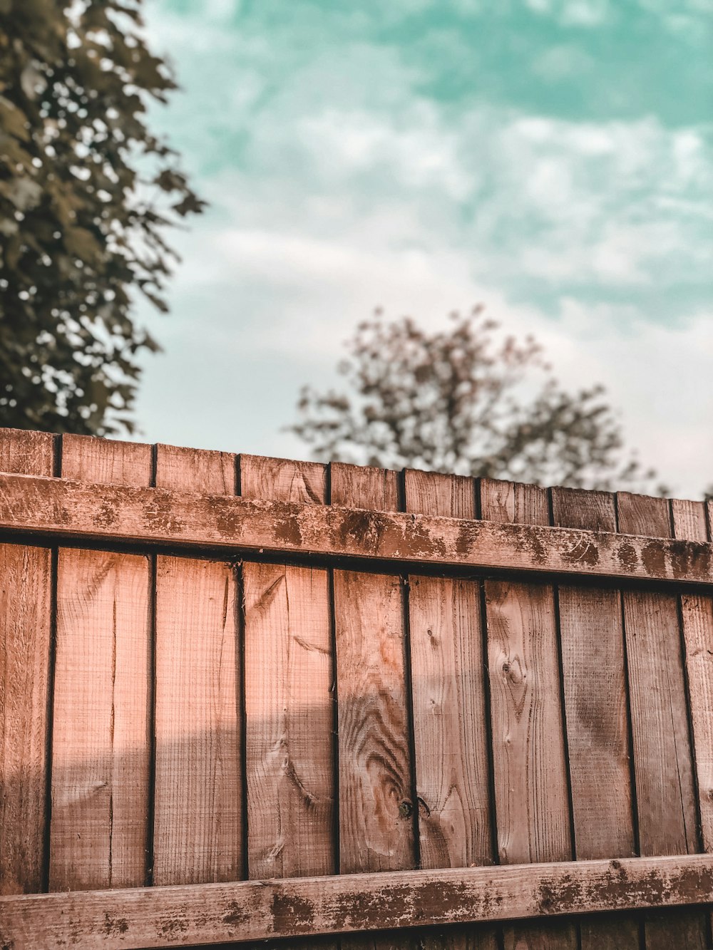 brown wooden fence near green trees during daytime