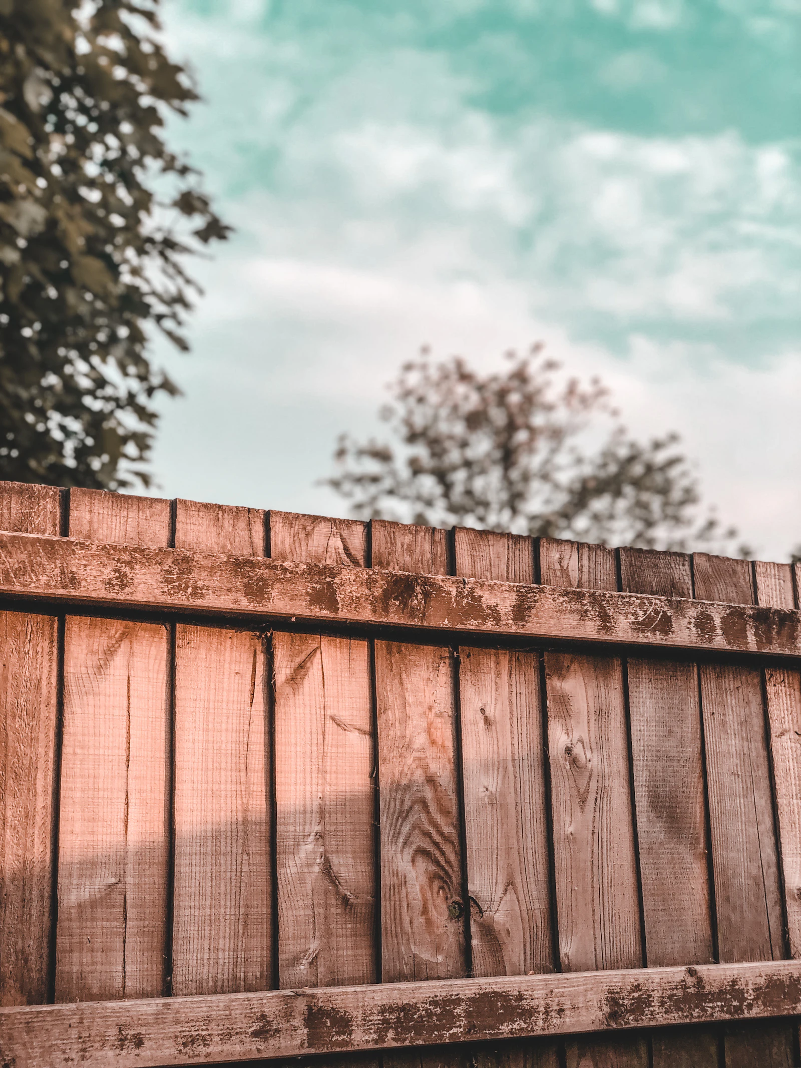A cedar fence with a warm brown finish, backed by green trees.