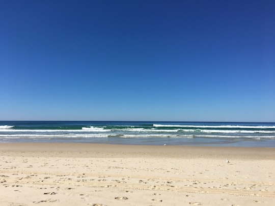 blue sea under blue sky during daytime in Surfers Paradise Beach Australia