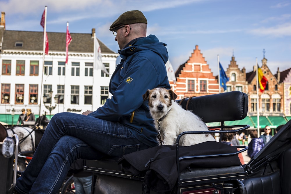 man in blue jacket and blue denim jeans sitting on black bench with white dog on on on on on