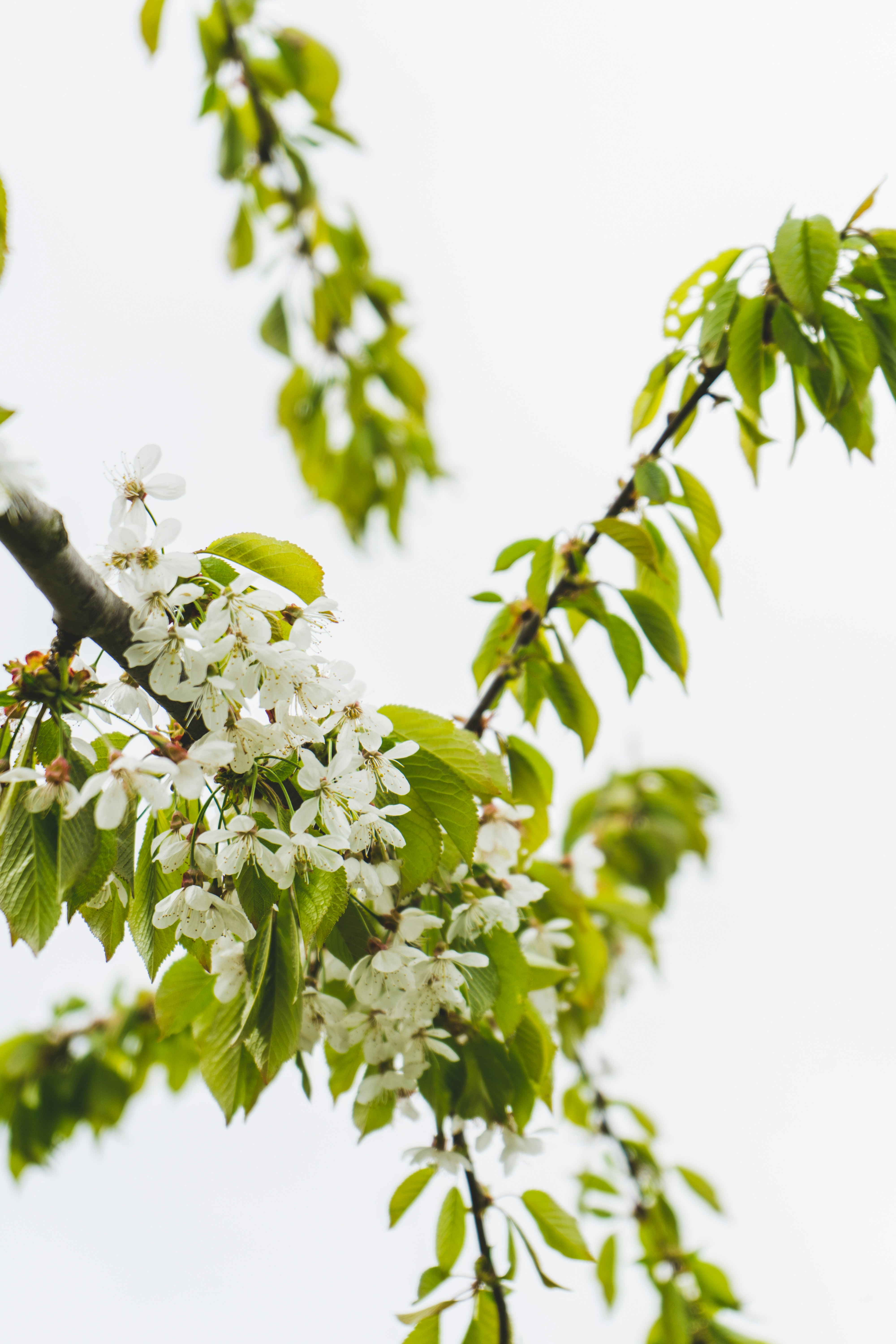 Photo by virussinside