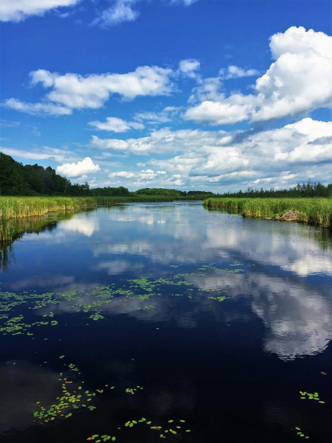 Travel Tips and Stories of Mer Bleue in Canada