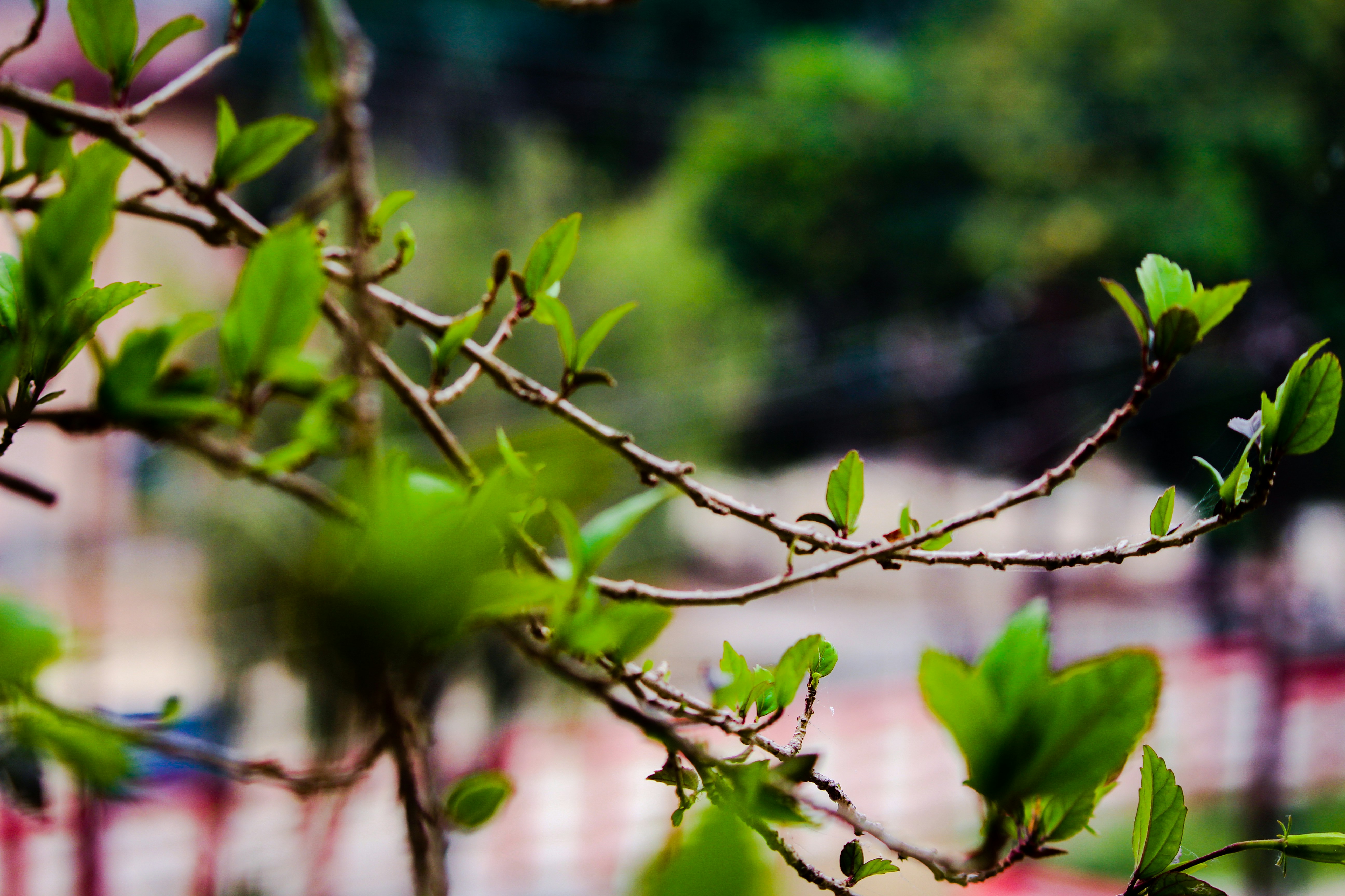 Photo by _sereneframes