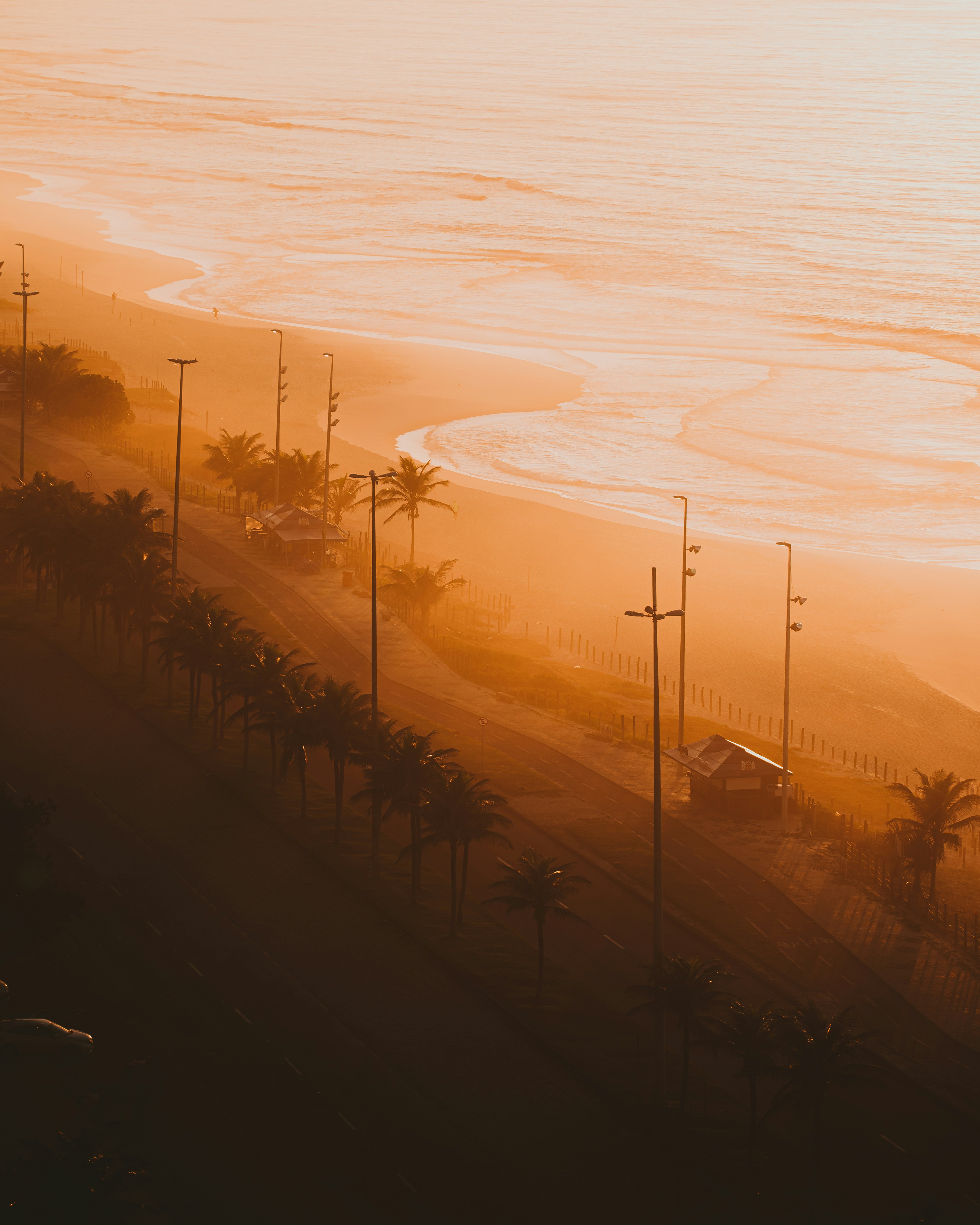 silhouette of trees during sunset