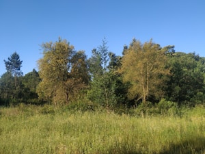 Działka pod budowę