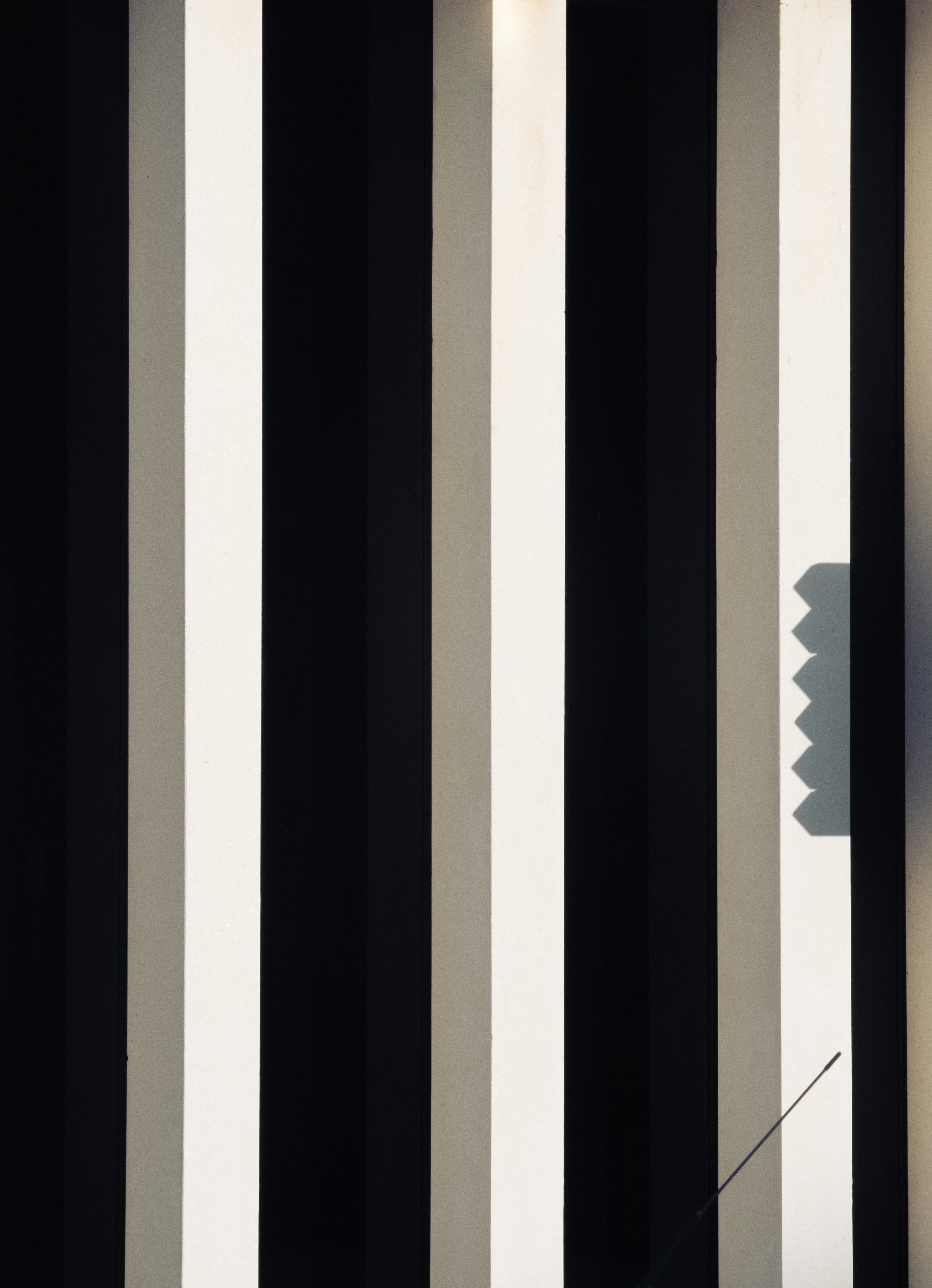 Photo by mimoto_photo