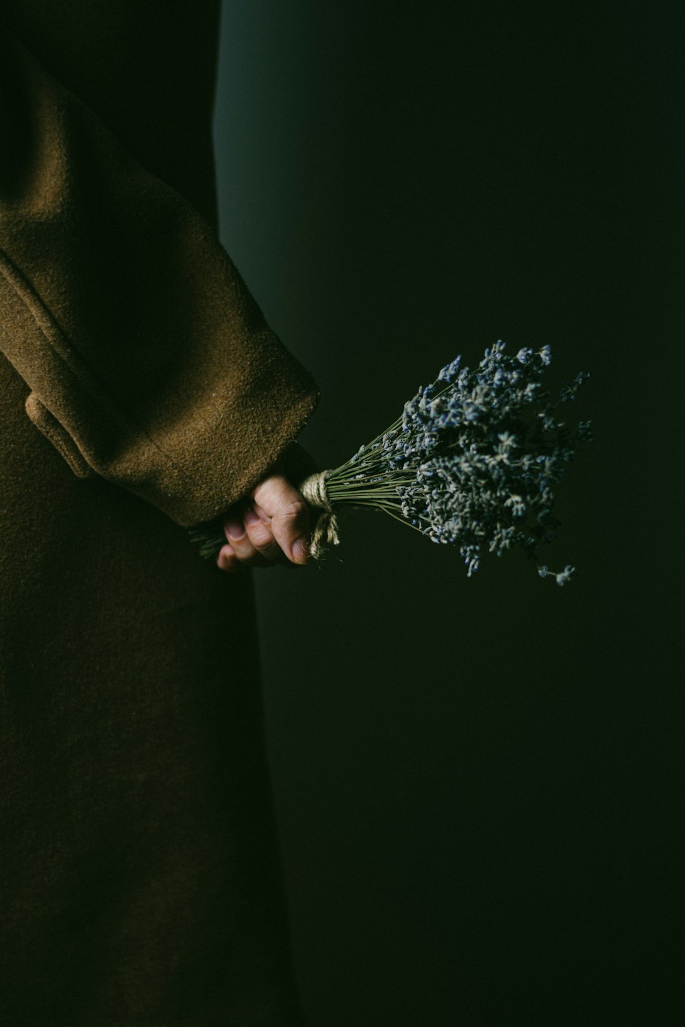 person holding purple flowers in brown textile