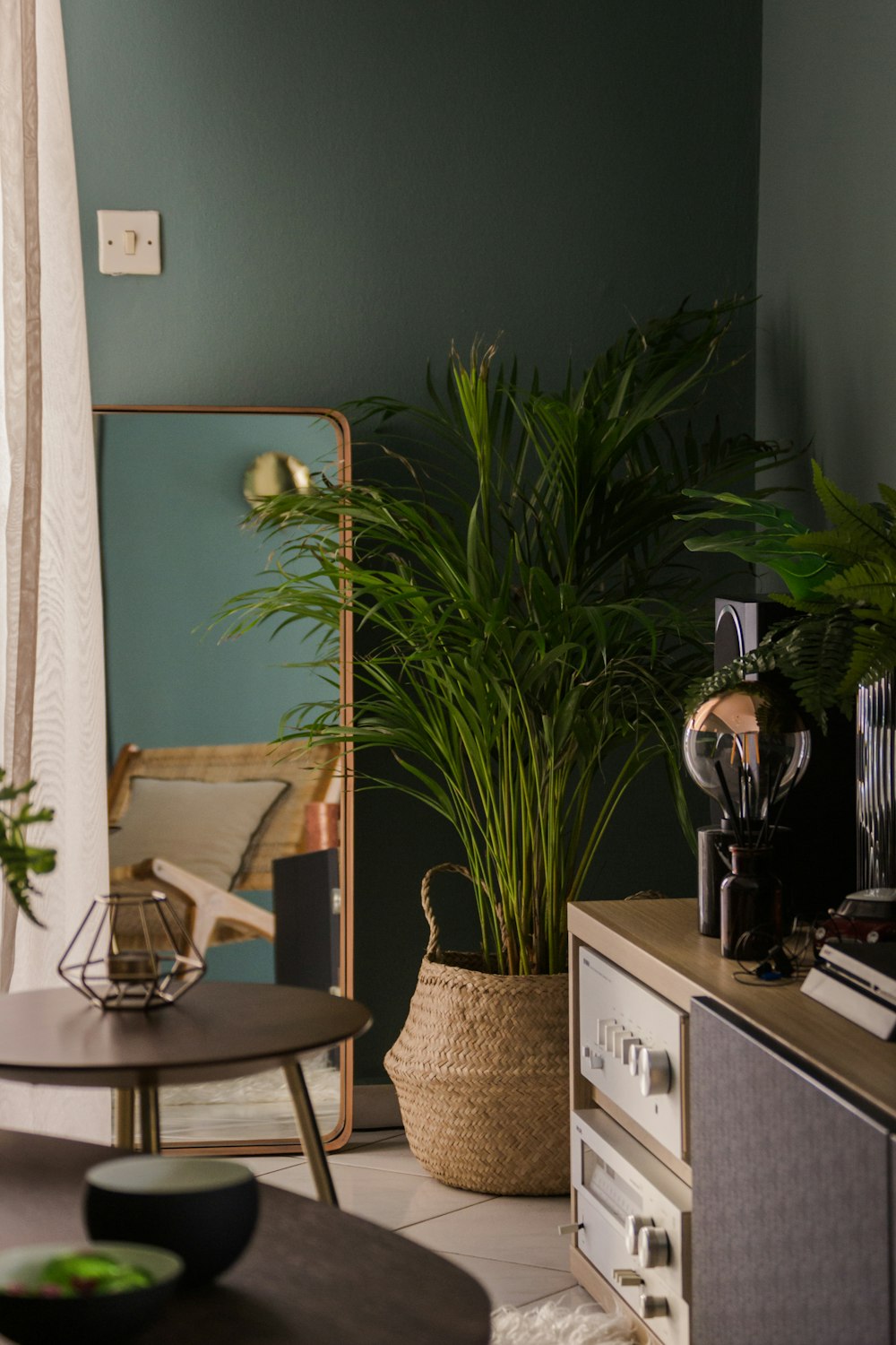 green plant on brown wooden table