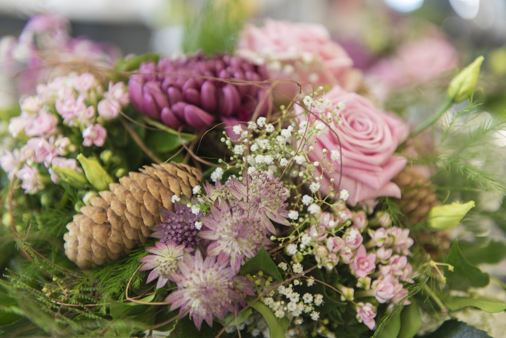 pink and white flowers on green grass