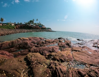 brown rock formation near body of water during daytime
