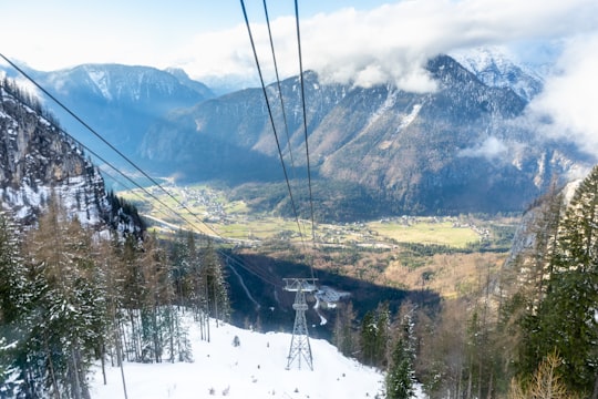 green trees on snow covered ground during daytime in Obertraun Austria