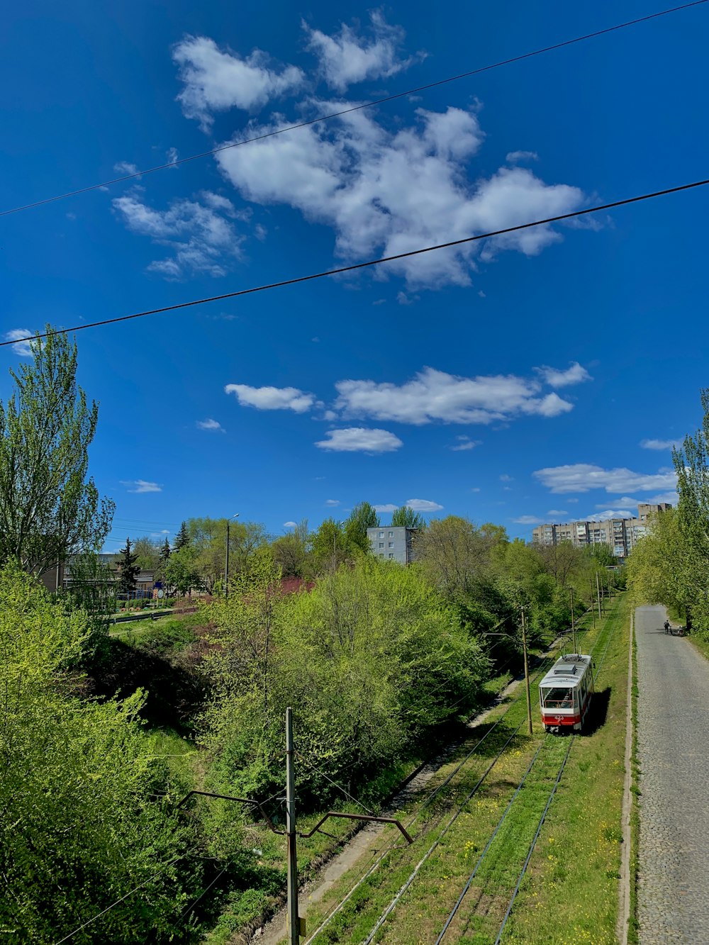 cars on road between green trees under blue sky during daytime