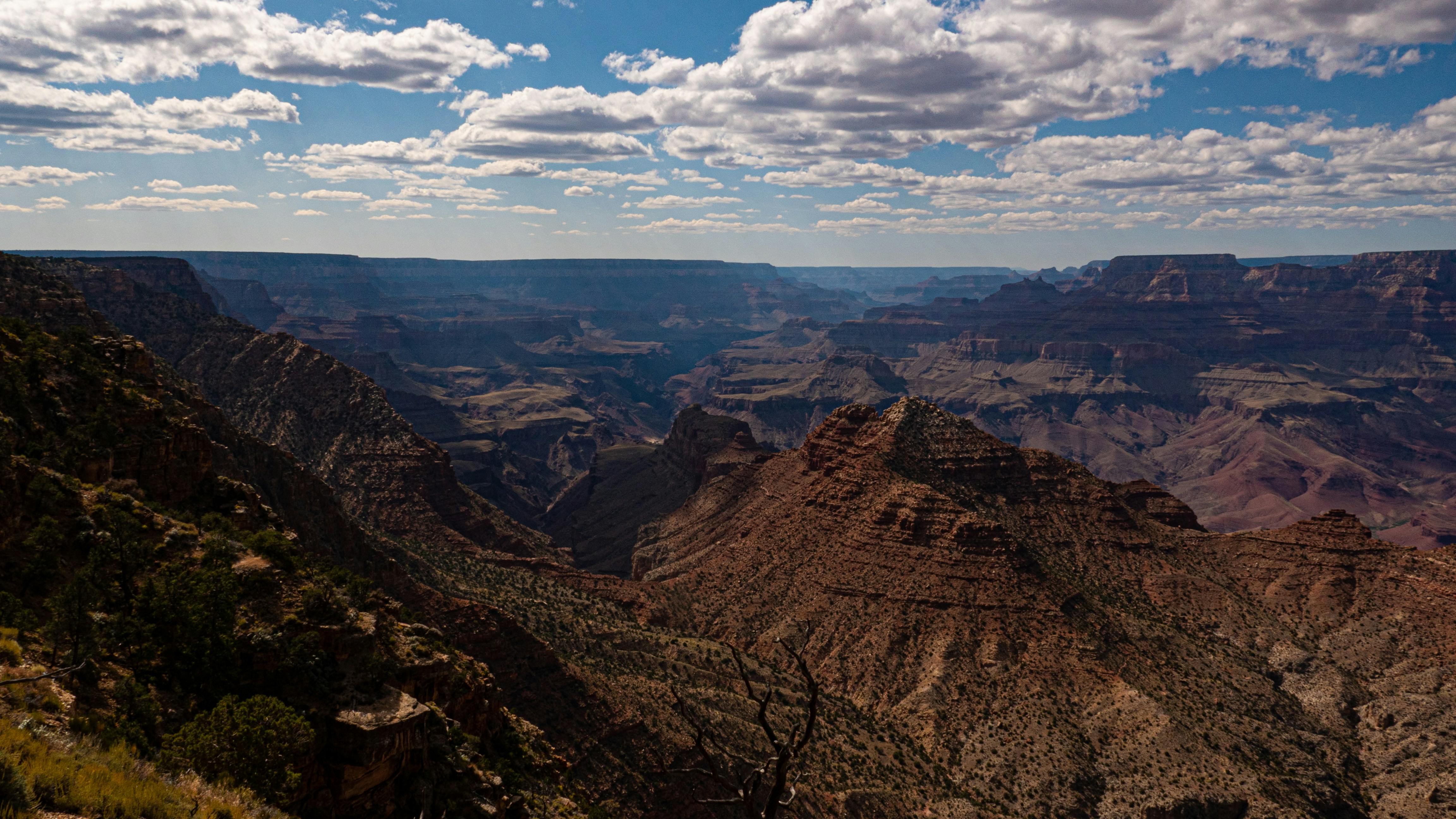 صورة المعرض