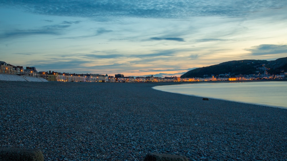 people walking on beach during daytime