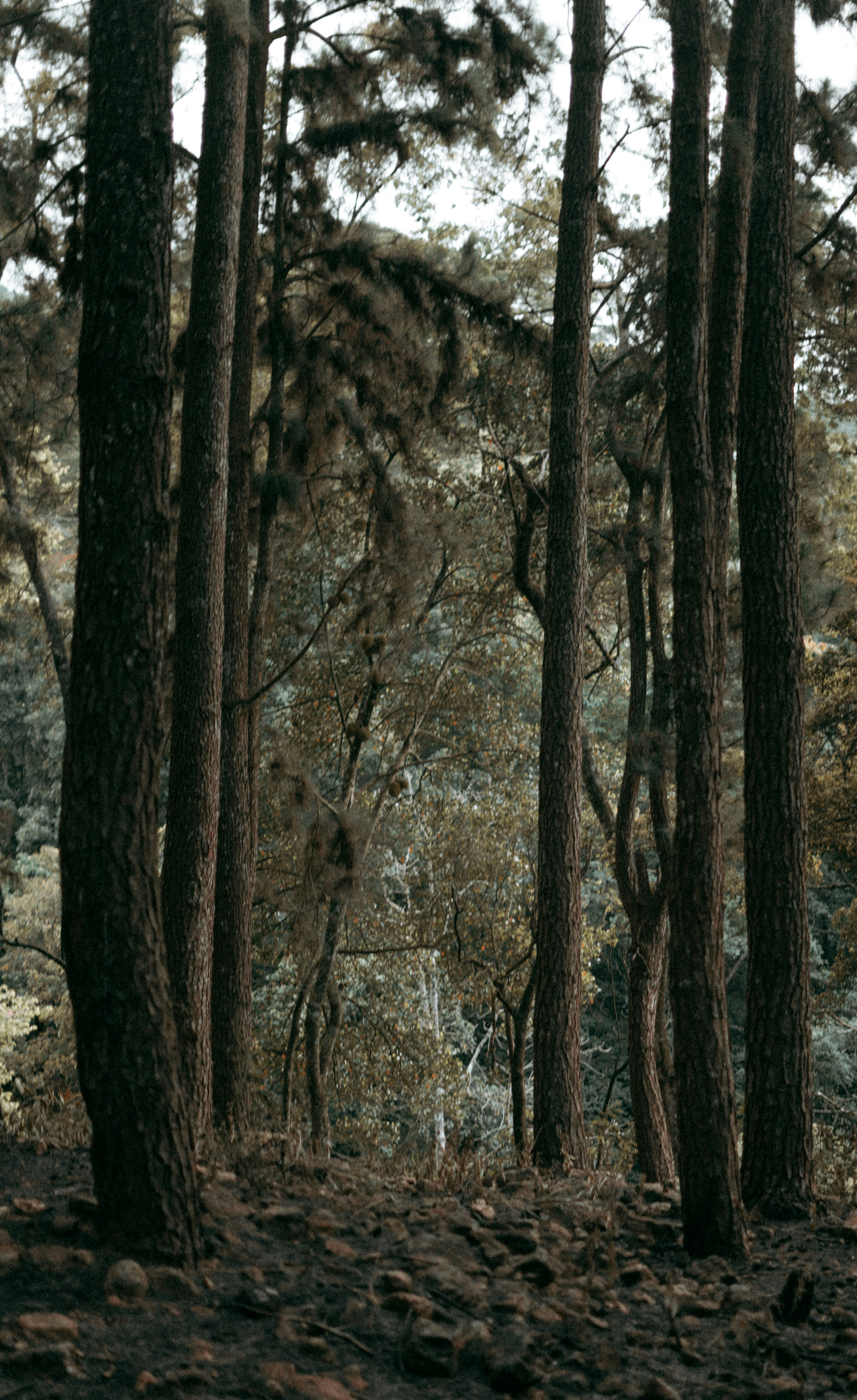 Photo by sevnstudios