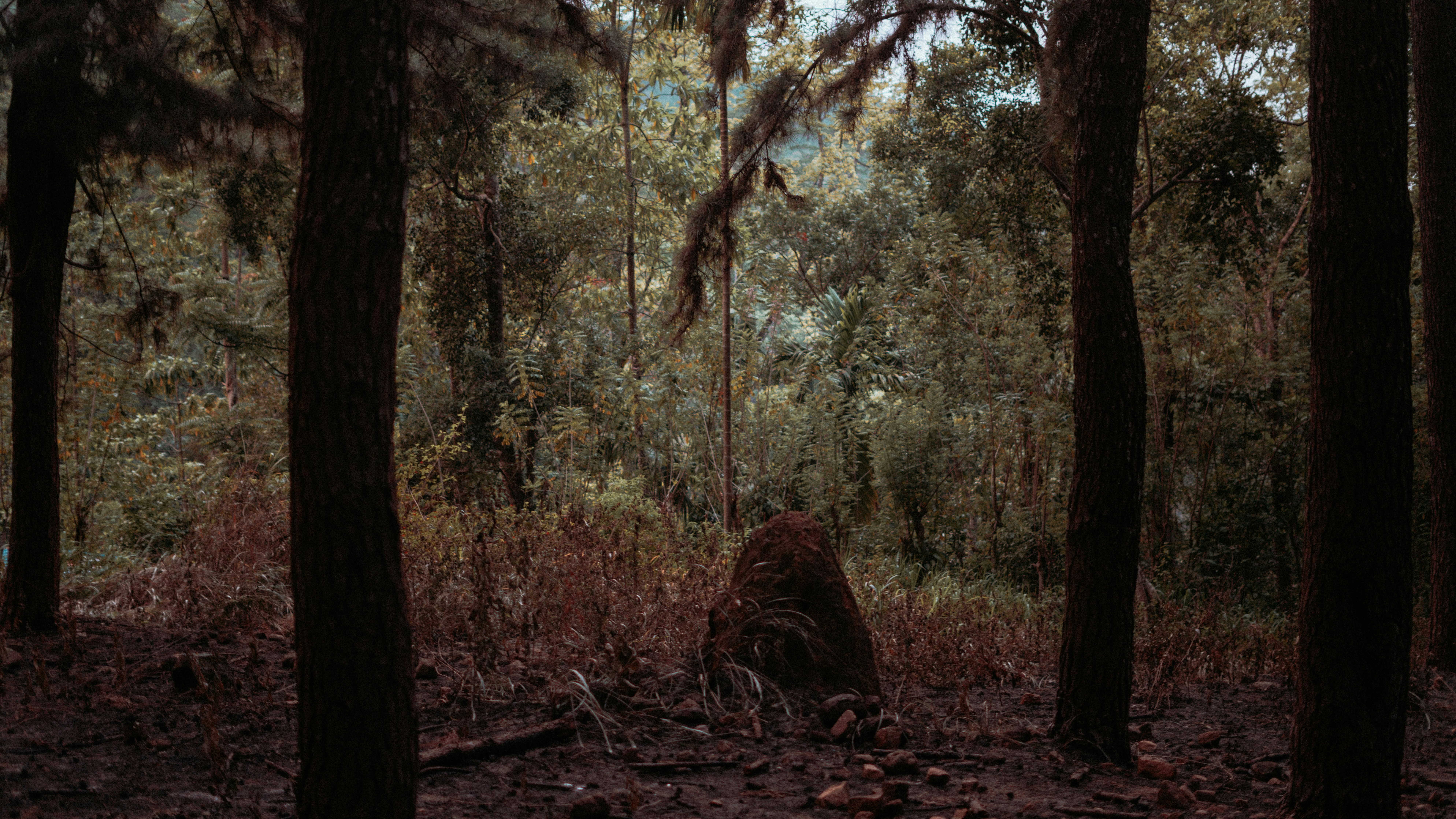 Photo by sevnstudios