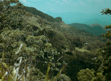 A beautifully detailed open world environment with lush forests and distant mountains.