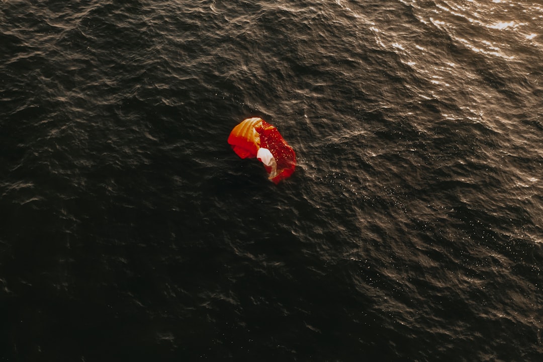 person in red and white water board on body of water during daytime