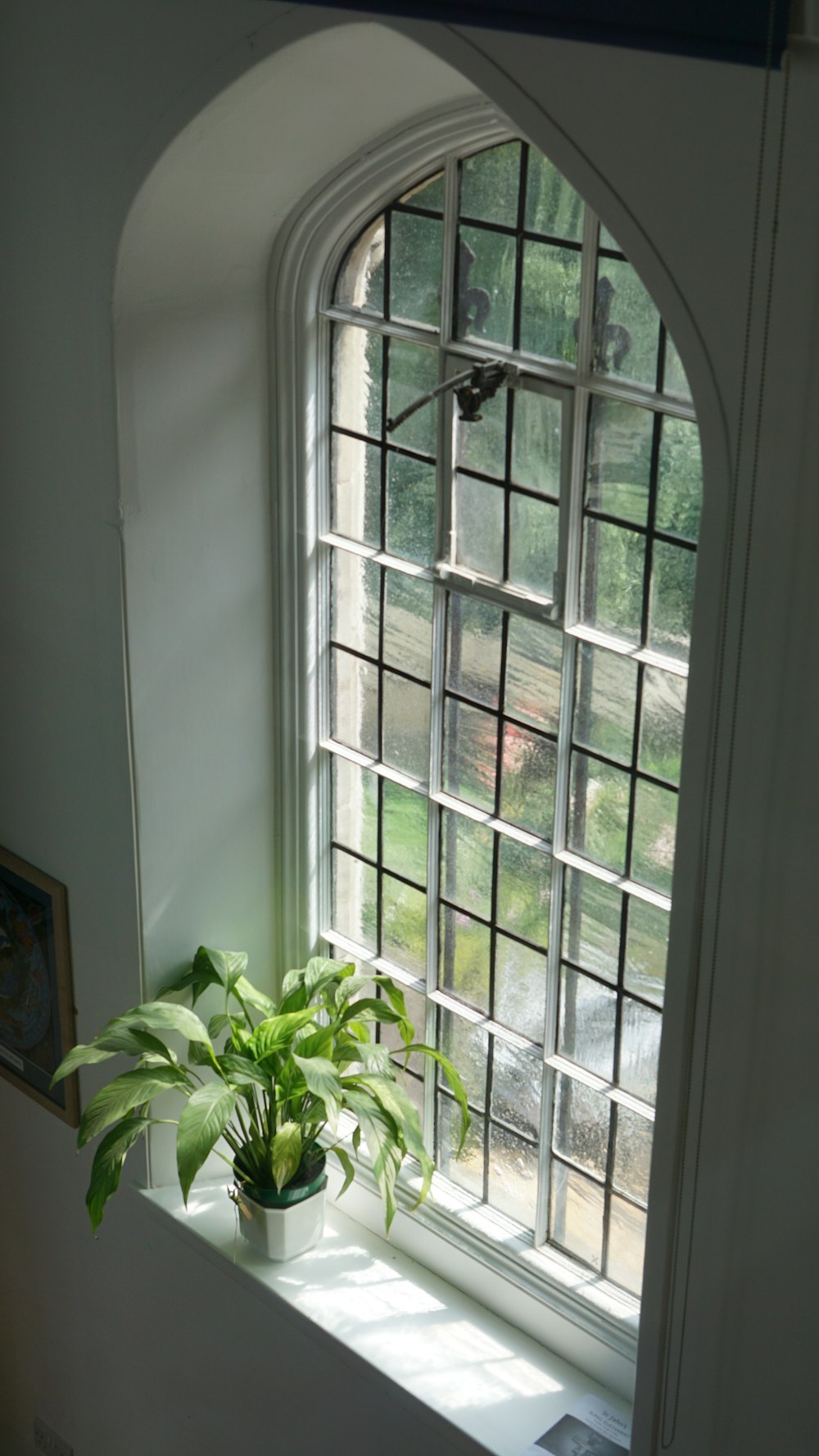 white wooden framed glass window