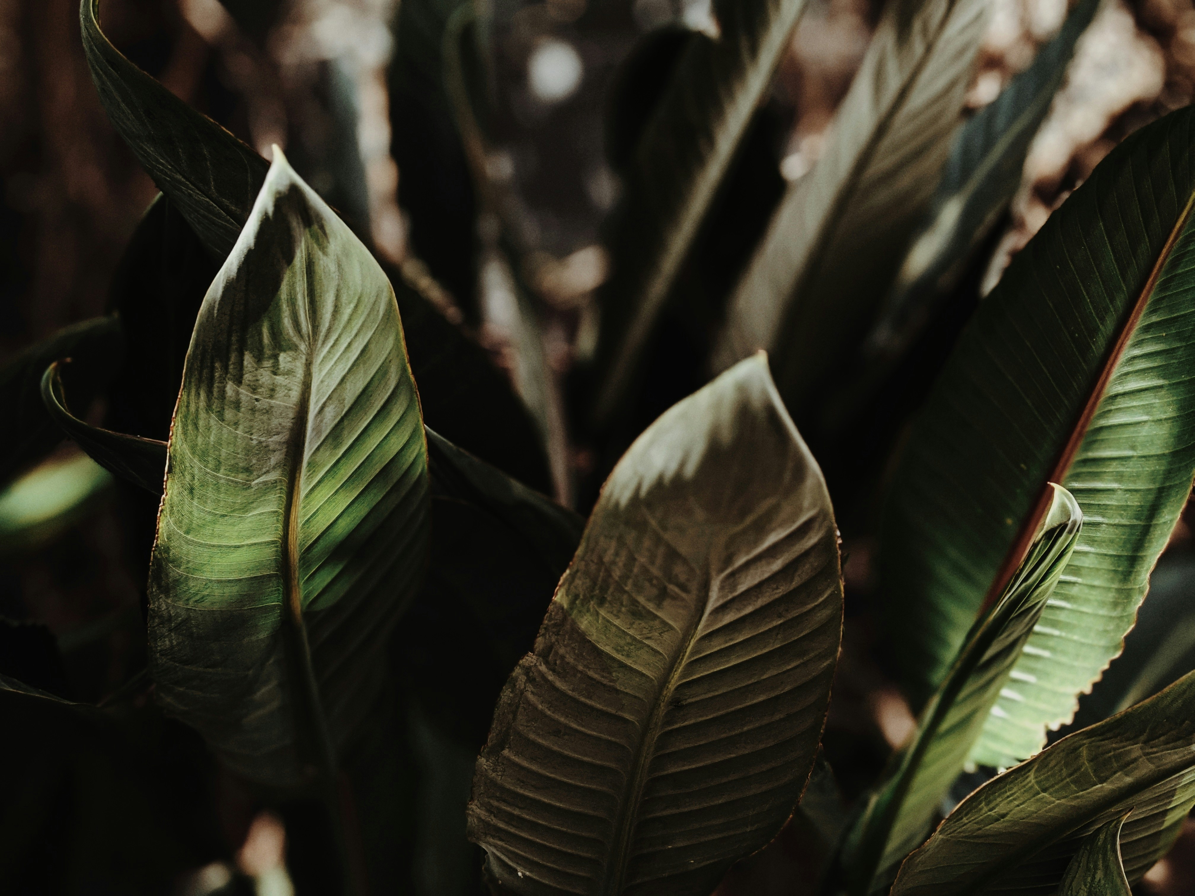 Photo by valeriiamiller