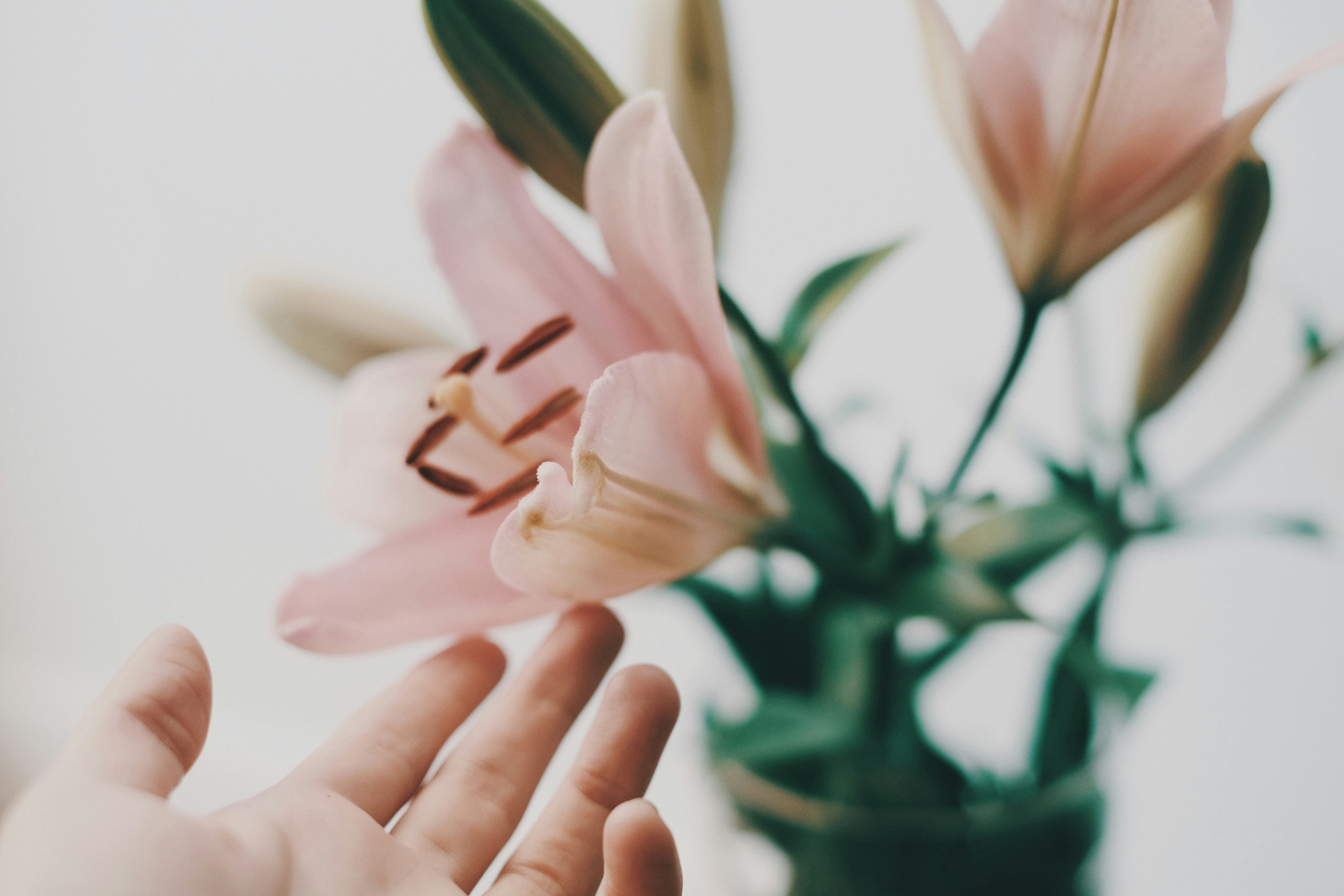 Photo by valeriiamiller