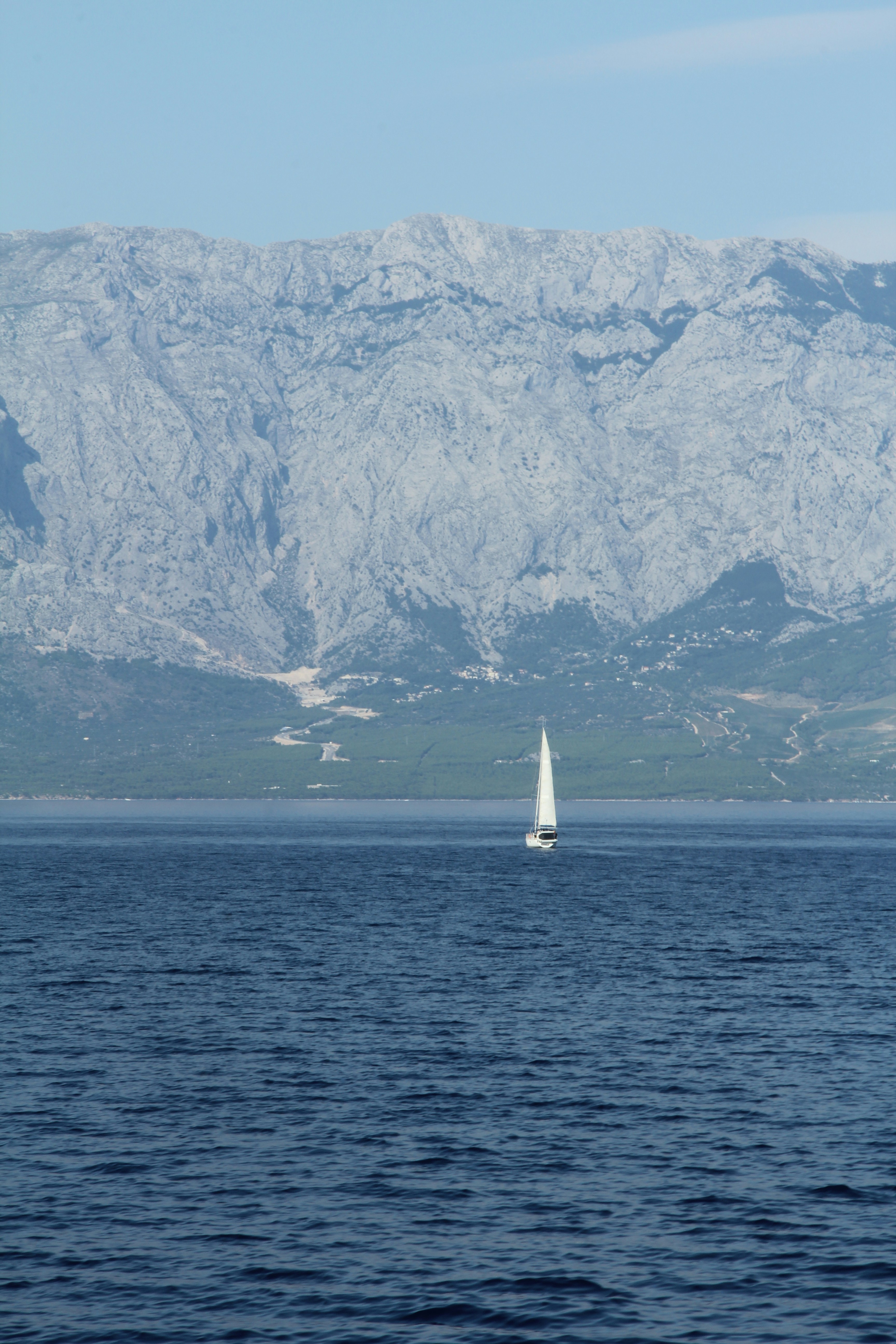 Photo by sofia_cerqueira