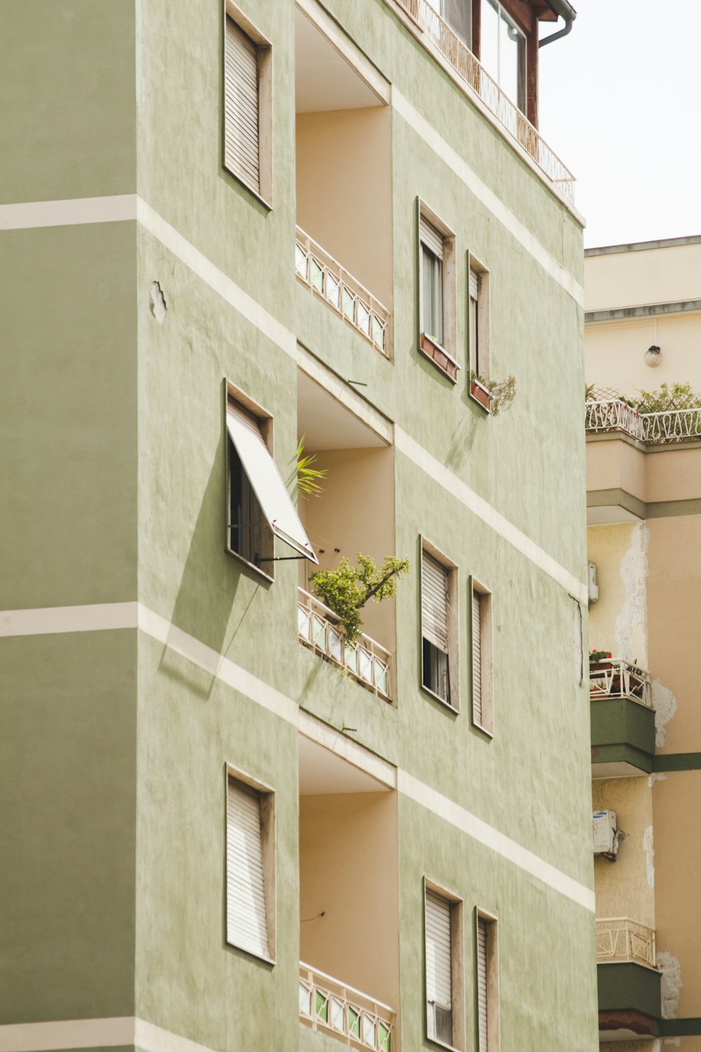 beige concrete building with green plants