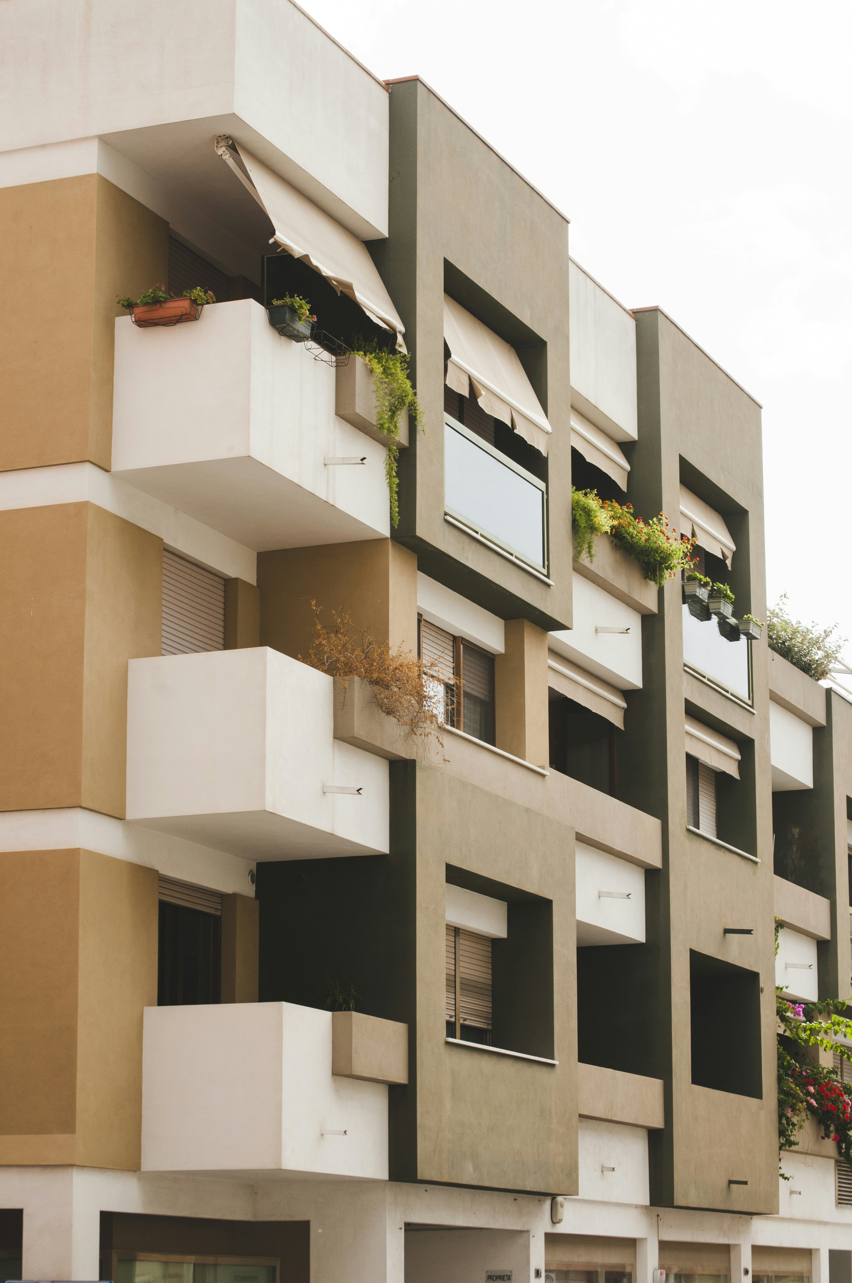 Photo by yuli_superson