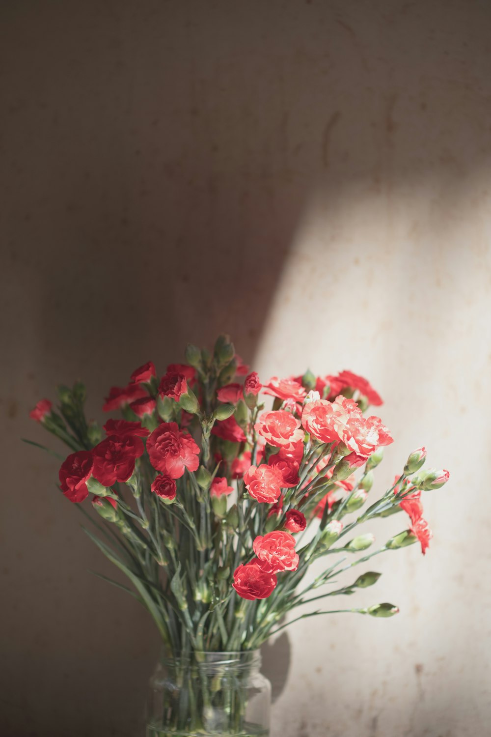 red flowers on white ceramic vase