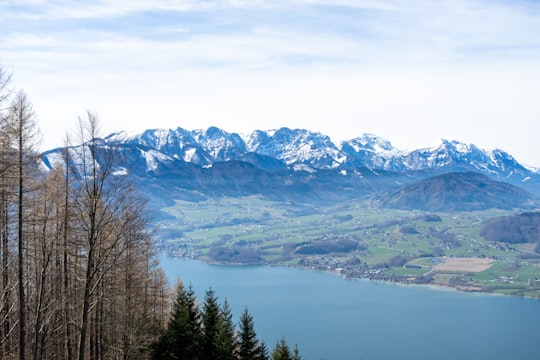 green trees near snow covered mountains during daytime in Gmunden Austria