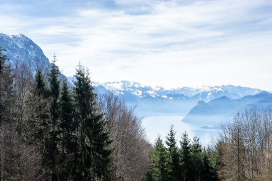 green trees near snow covered mountain during daytime in Gmunden Austria