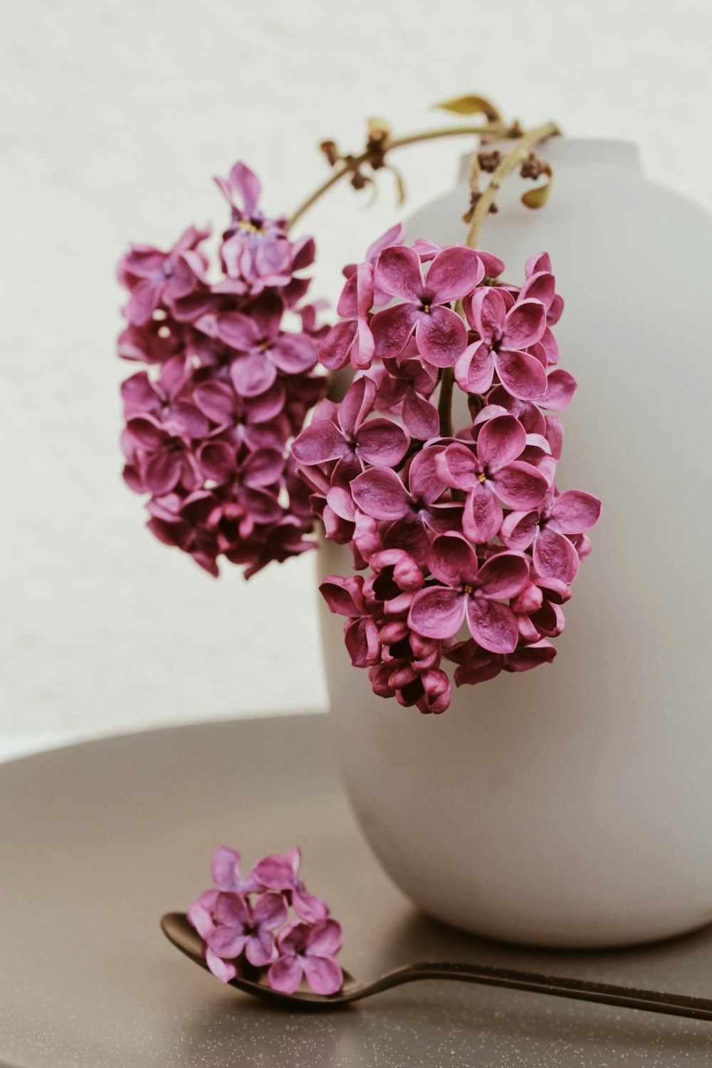 purple flowers in white ceramic vase