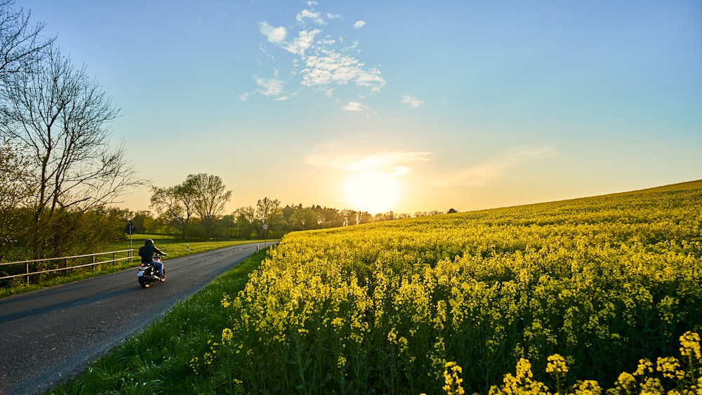 black car on road between green grass field during daytime