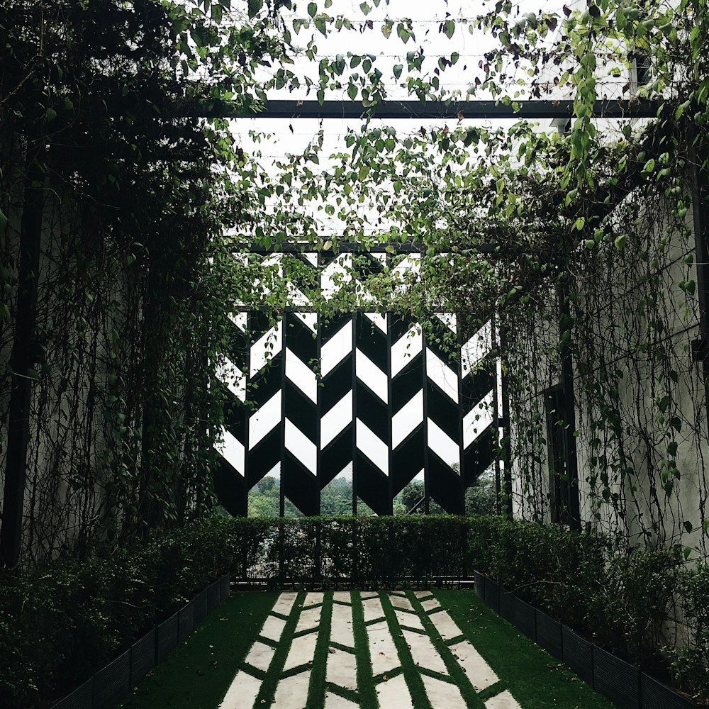 black and white checkered roof surrounded by trees