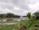 A serene landscape featuring a river surrounded by lush greenery and trees under a cloudy sky. A neat garden with trimmed hedges and palm trees borders the foreground. A small yellow excavator is visible near the riverbank.