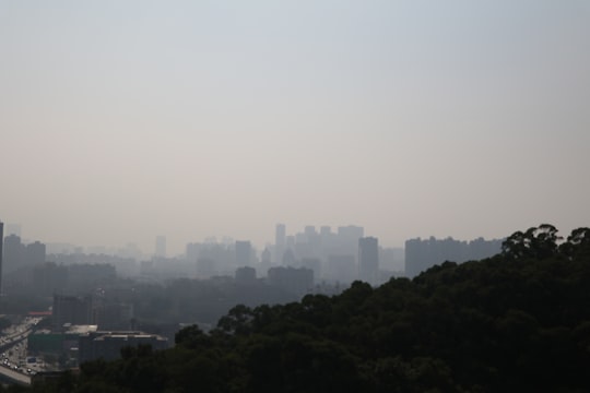 white high rise buildings during daytime in Fuzhou China