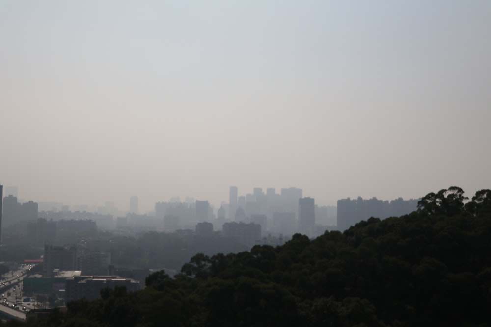 white high rise buildings during daytime