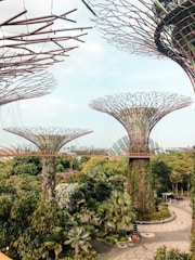 Futuristic tree-like structures dominate an urban landscape filled with lush greenery and modern architecture. The structures feature intricate lattice designs with plants growing along their surfaces. An elevated walkway connects the structures, offering a unique vantage point to view the surrounding garden. In the background, sleek glass buildings add a contemporary touch to the scene.