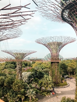 Futuristic tree-like structures dominate an urban landscape filled with lush greenery and modern architecture. The structures feature intricate lattice designs with plants growing along their surfaces. An elevated walkway connects the structures, offering a unique vantage point to view the surrounding garden. In the background, sleek glass buildings add a contemporary touch to the scene.
