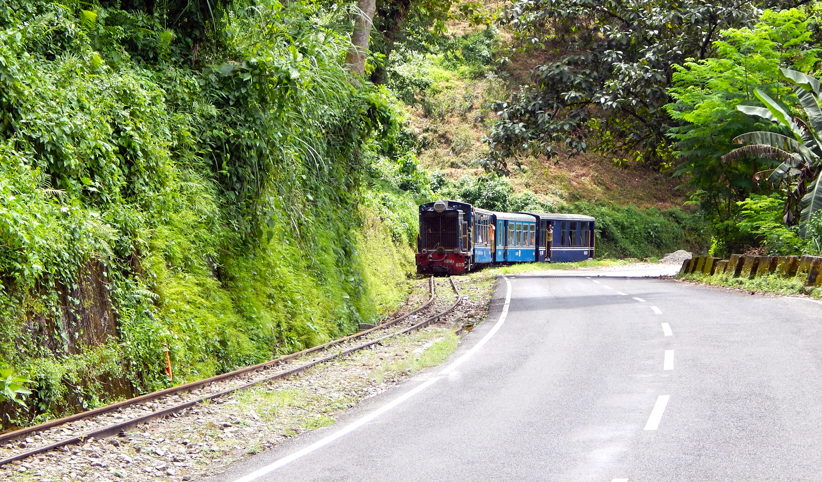 The Darjeeling Himalayan Railway toy train rounding a bend beside the hill road, its blue coaches framed by green forest