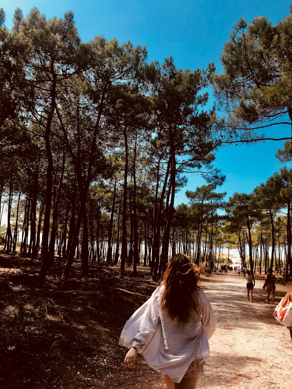 woman in white shirt sitting on ground surrounded by trees during daytime