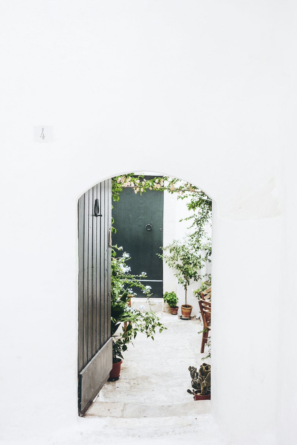 Puerta de madera negra cerca de planta verde