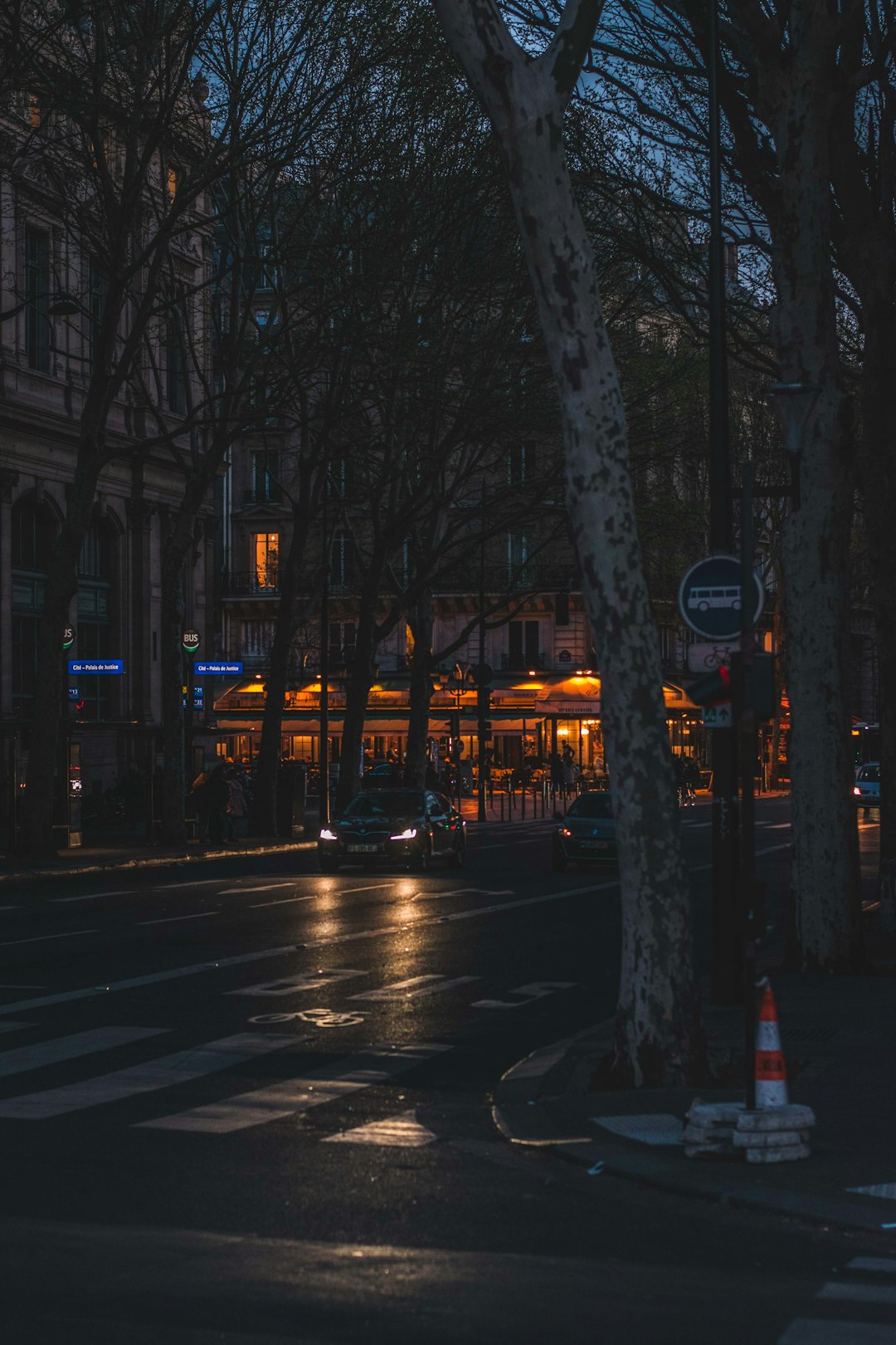 black street light turned on during night time