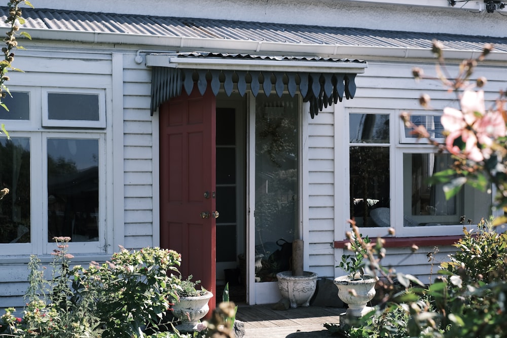 red wooden door beside green plants