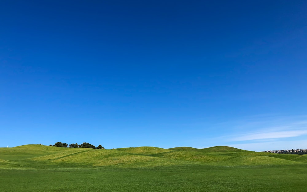Grünes Grasfeld unter blauem Himmel tagsüber